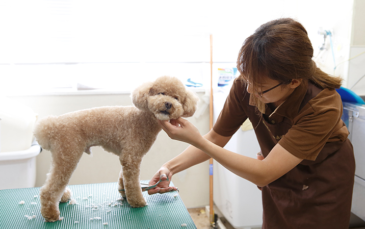 羽田空港ペットホテル